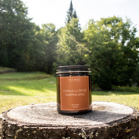 Organic Pumpkin Spice Blend