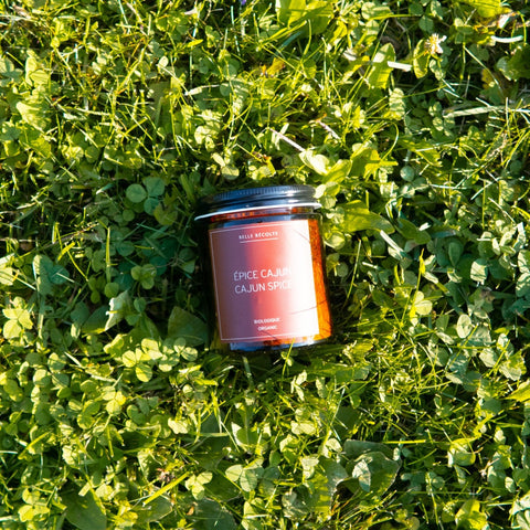 Organic Cajun Spice Blend